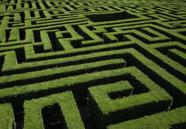 Maze