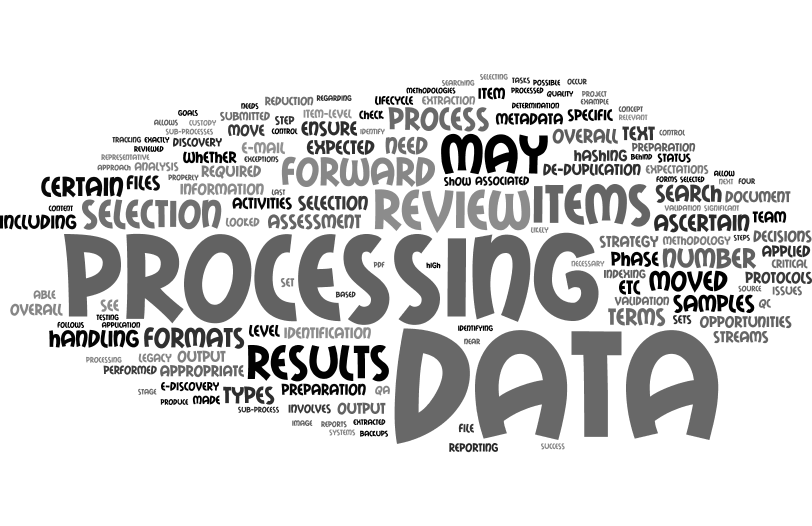 On Legal Teams and E-Discovery Processing